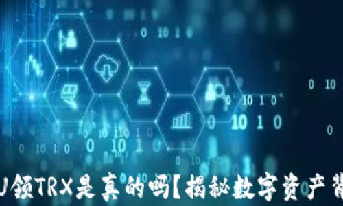 TP钱包存U领TRX是真的吗?揭秘数字资产背后的真相