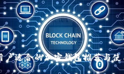 国内用户适合的加密钱包推荐与使用指南