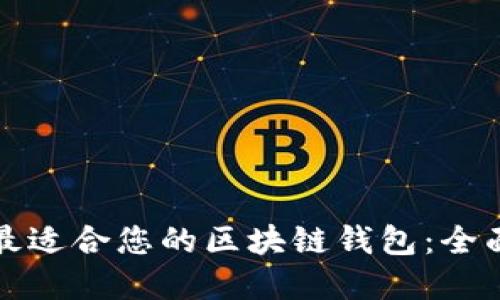 选择最适合您的区块链钱包：全面指南