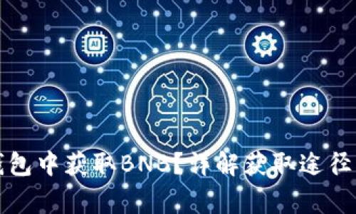 如何在TP钱包中获取BNB？详解获取途径与注意事项