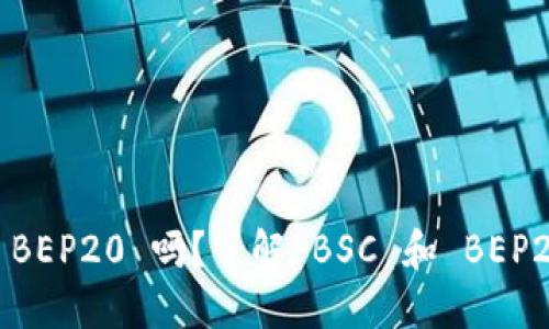 TP钱包 BSC 是 BEP20 吗？了解 BSC 和 BEP20 的区别与联系
