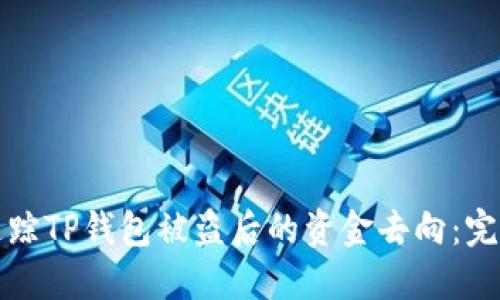 如何追踪TP钱包被盗后的资金去向：完整指南