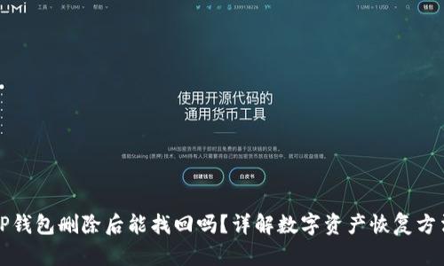 TP钱包删除后能找回吗?详解数字资产恢复方法