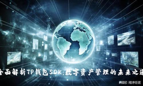 全面解析TP钱包SDK：数字资产管理的未来之道