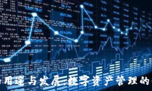   
币钱包的用途与发展：数字资产管理的必备工具