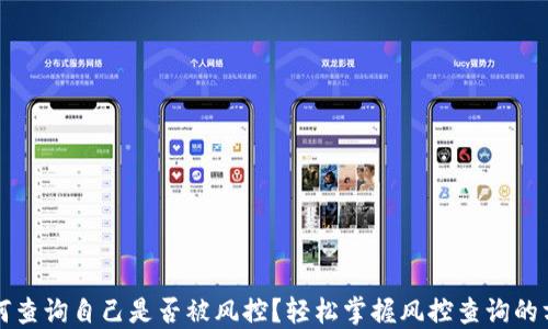 
如何查询自己是否被风控？轻松掌握风控查询的方法