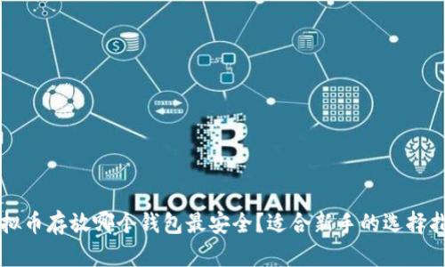 虚拟币存放哪个钱包最安全？适合新手的选择指南