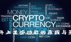 TP钱包终止某些功能的原因