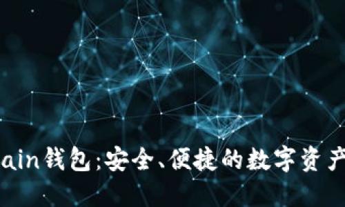 TP的SmartChain钱包：安全、便捷的数字资产管理解决方案
