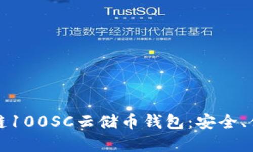 深入了解区块链100SC云储币钱包：安全、便捷与未来趋势