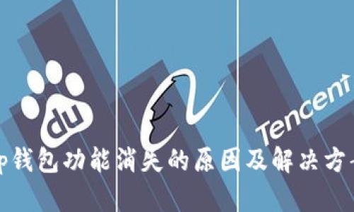 tp钱包功能消失的原因及解决方案