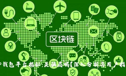 TP钱包平台揭秘：是骗局吗？深入分析与用户指南