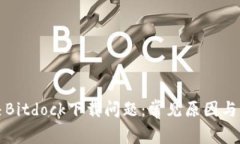 如何解决Bitdock下载问题：