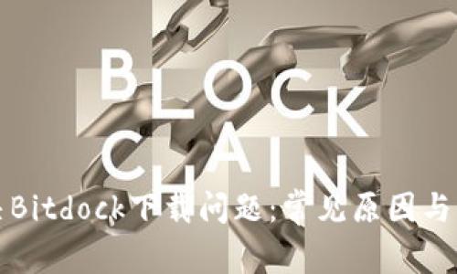 如何解决Bitdock下载问题：常见原因与解决方案