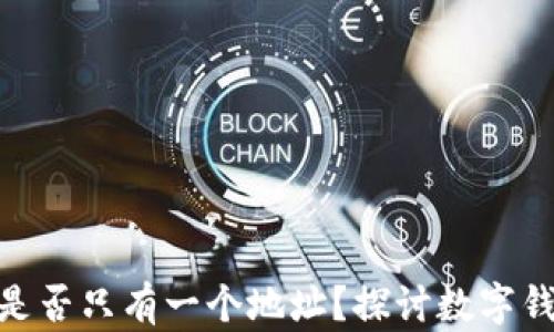 
TP钱包中BNB是否只有一个地址？探讨数字钱包的地址管理