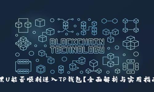 黑U能否顺利进入TP钱包？全面解析与实用指南