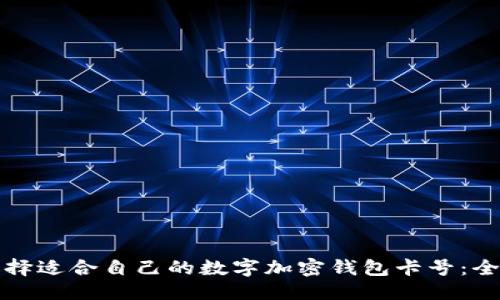 优质
如何选择适合自己的数字加密钱包卡号：全面指南